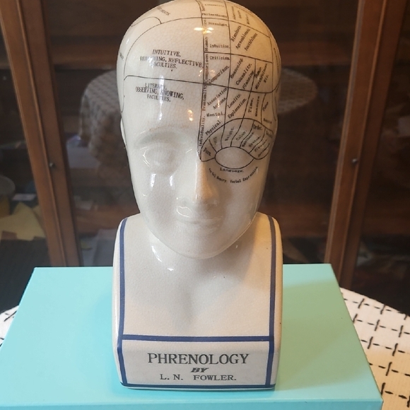 Ceramic Phrenology Head Bust Scientific Psychology History by L.N. Fowler - Picture 1 of 15